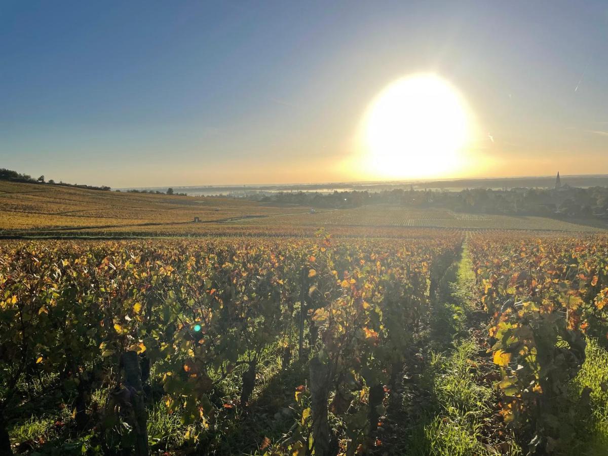 Le Clos De Miribel Givry  Esterno foto