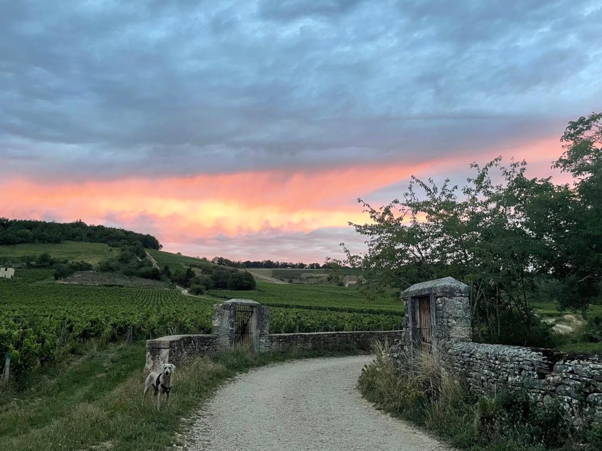 Le Clos De Miribel Givry  Esterno foto